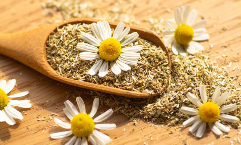 Dried Mountain Chamomile