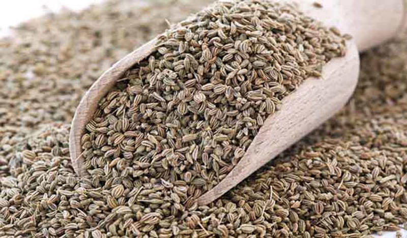 Fresh Ajwain