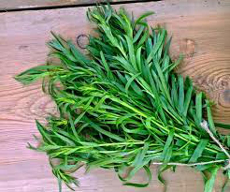 Tarragon