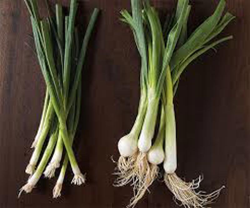 Green onion
